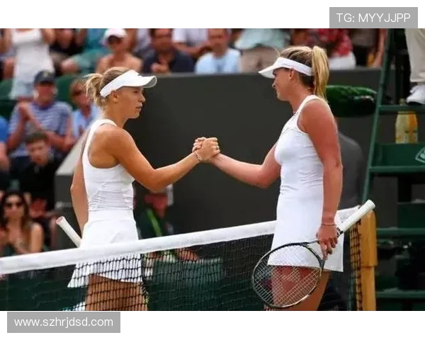 上海网球队状态深度对比分析及未来发展趋势探讨