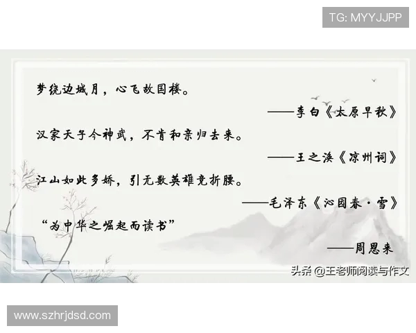 北京排球队的崛起与挑战：邀请赛背后的奋斗故事与荣耀时刻