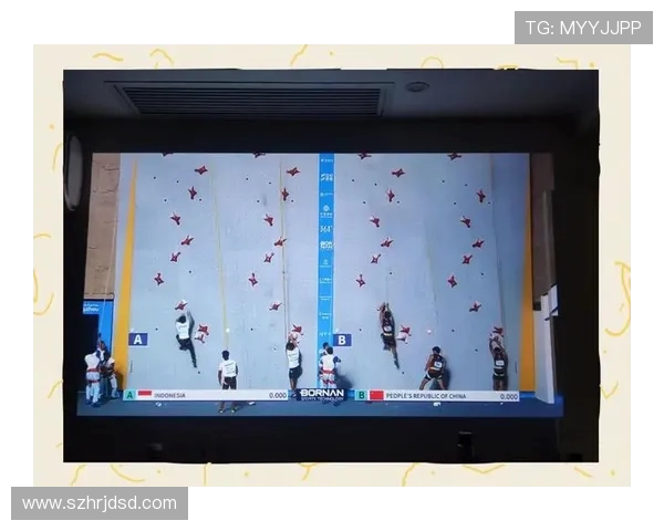 南京攀岩队在全国攀岩战术排行榜中荣获第九名的佳绩分析