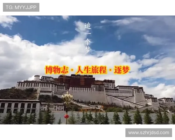 羽毛球场上的追梦旅程：刘静的奋斗与成长故事