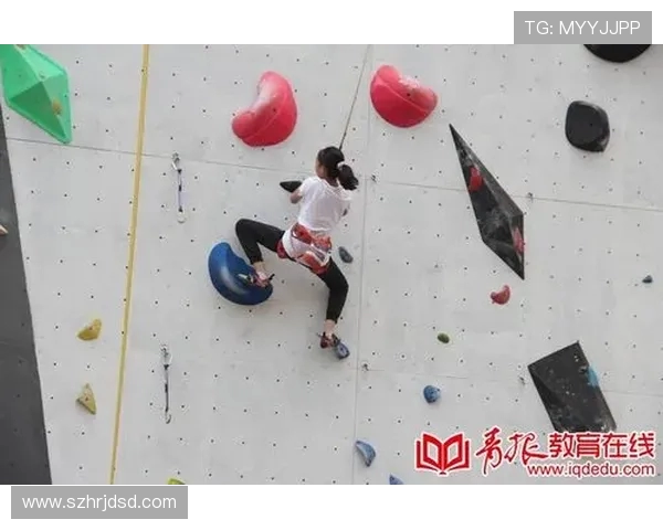 赵强独家分享排球心得与技巧助你提升竞技水平和团队配合能力