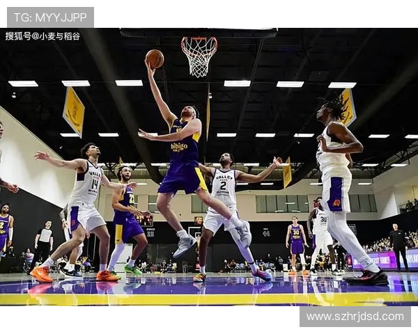 2021年2月19日湖人与篮网精彩对决直播回顾与分析