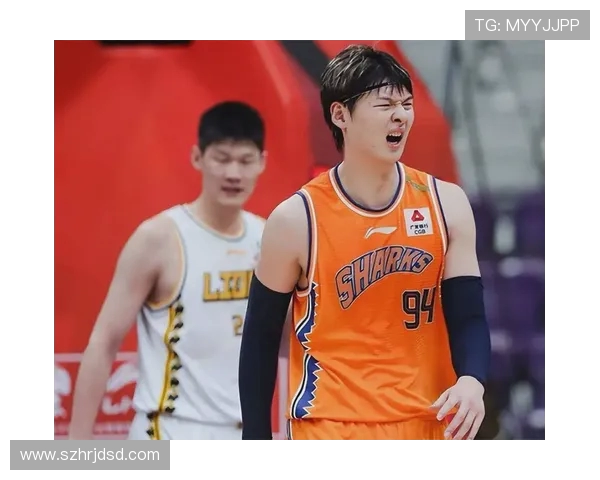 王哲林在CBA赛季中的表现分析与未来发展潜力探讨