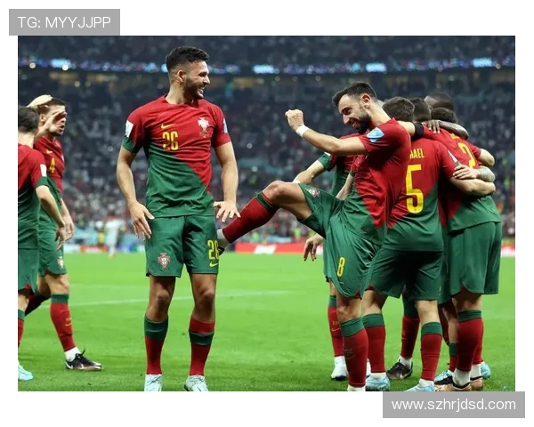 葡萄牙对阵丹麦精彩直播全程回顾与赛后分析