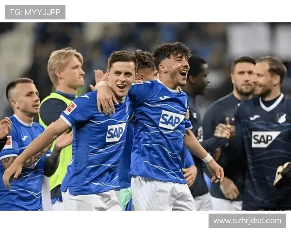 霍芬海姆对阵莱比锡红牛精彩赛事分析与预测