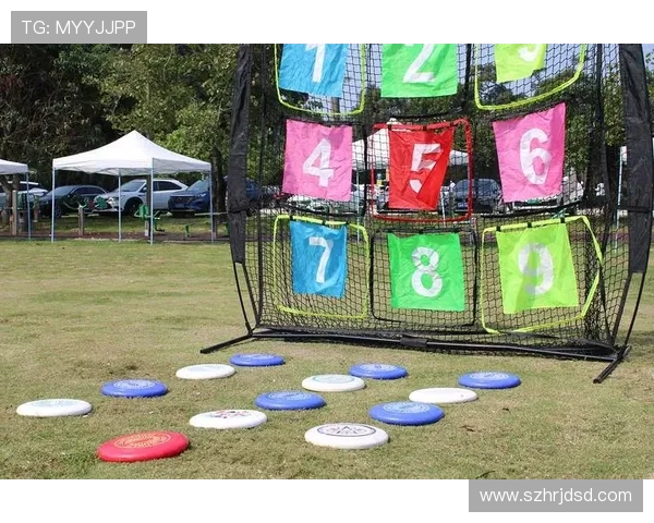 飞盘运动的魅力与挑战：南京飞盘队的耐力之路探索