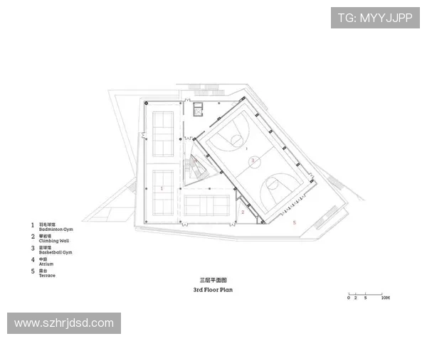 南京攀岩队个人能力分析及其对团队表现的影响研究